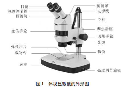 體視顯微鏡的外形圖